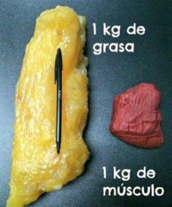 Volumen de 1kg de grasa vs 1kg de músculo